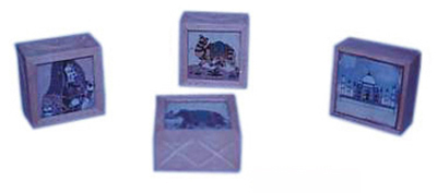 You have reached the last slide